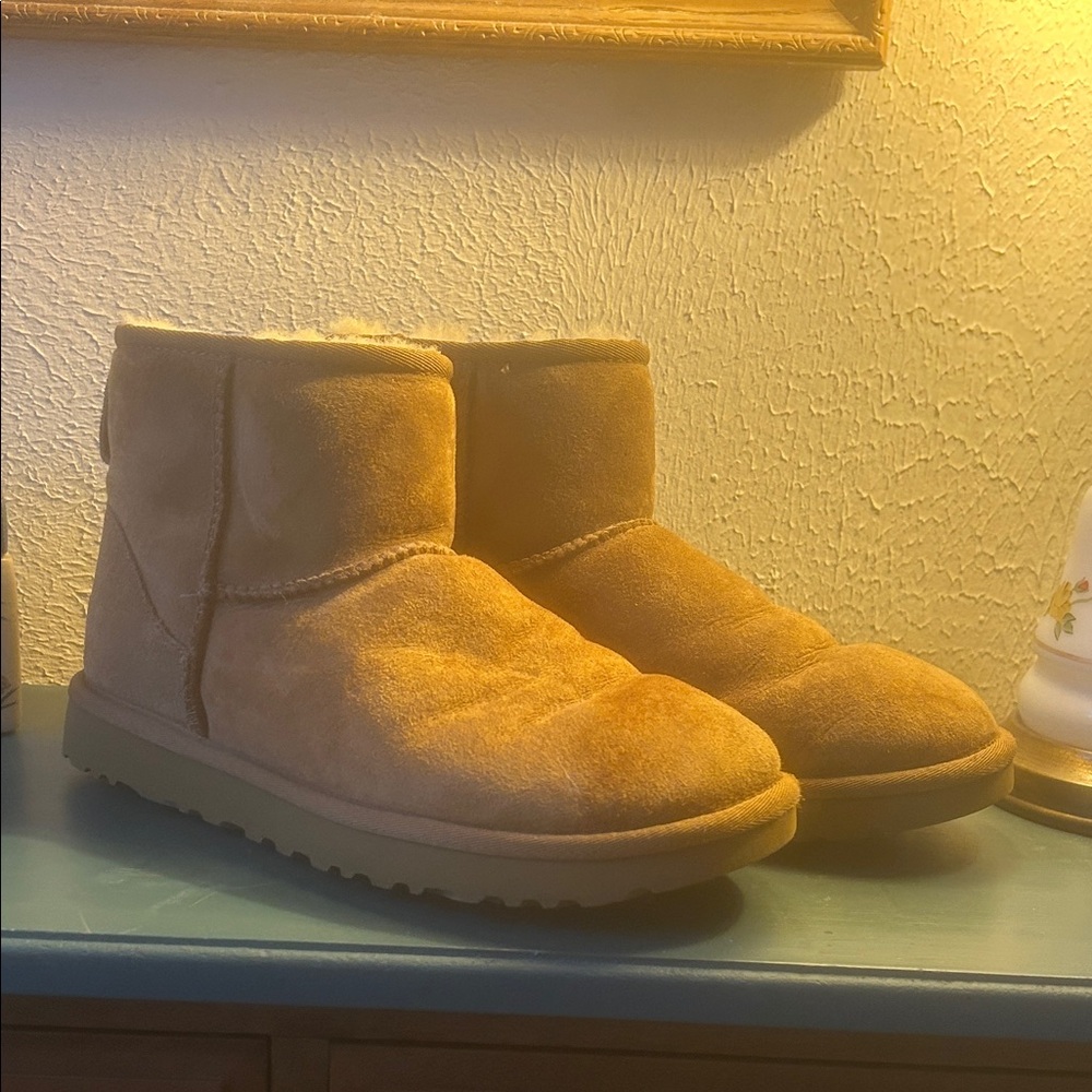 UGG Chestnut Classic Minis